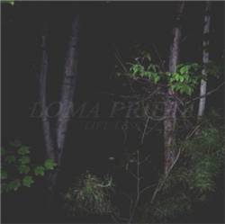 Loma Prieta : Life Less